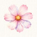 Cosmos