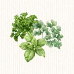 Aromatiques
