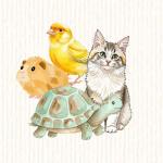 Pour nos animaux