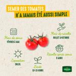 Potagères - Tomate Noire de Crimée - Légumes d'Autrefois - image