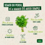 Aromatiques - Persil Frisé Vert Foncé - image