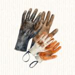 Gants - Rostaing